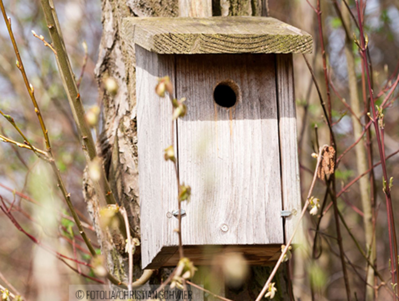 exemple av en fuglekasse